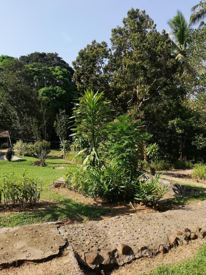 Durian Chalet Куала Тахан Екстериор снимка