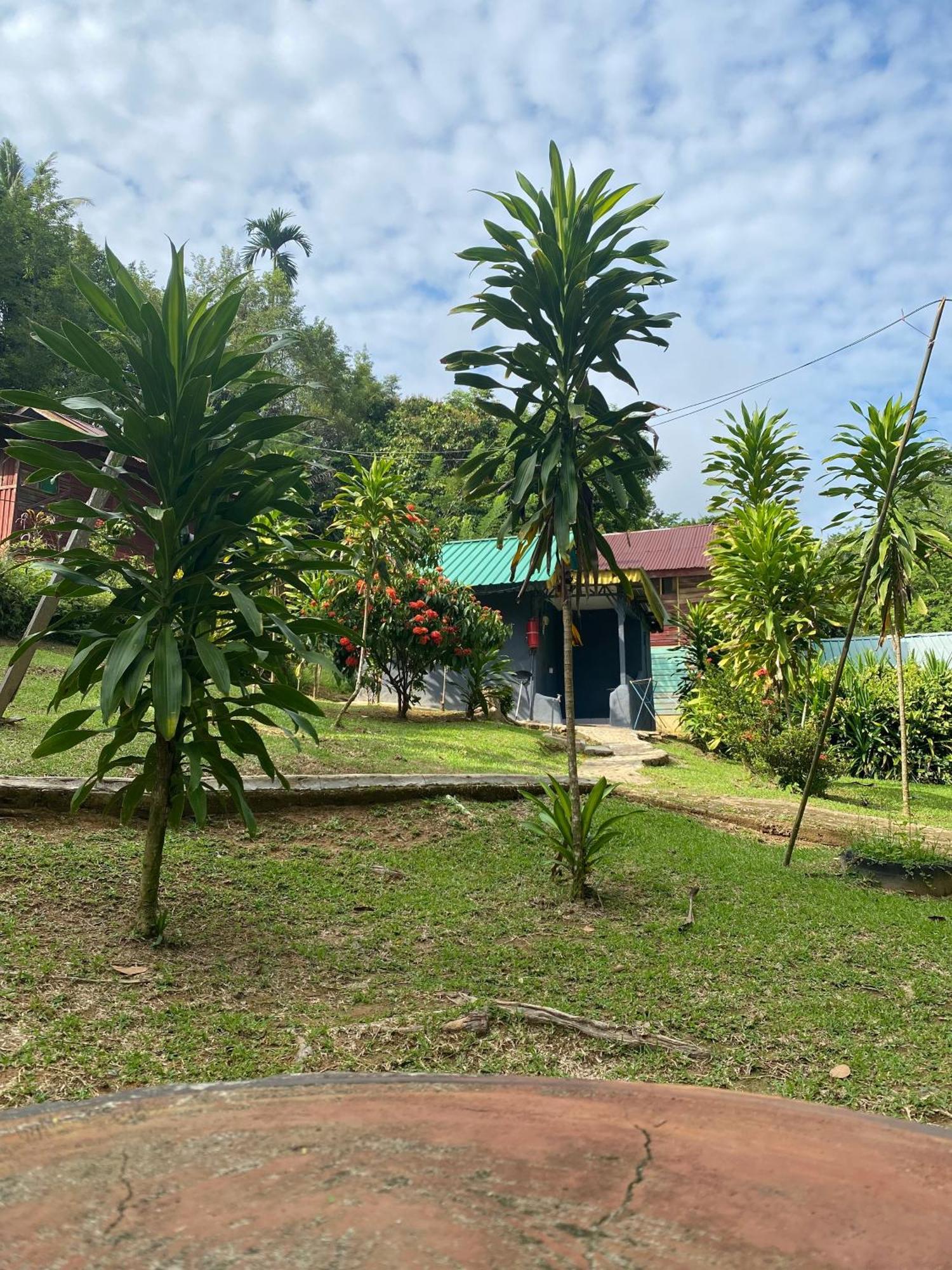 Durian Chalet Куала Тахан Екстериор снимка